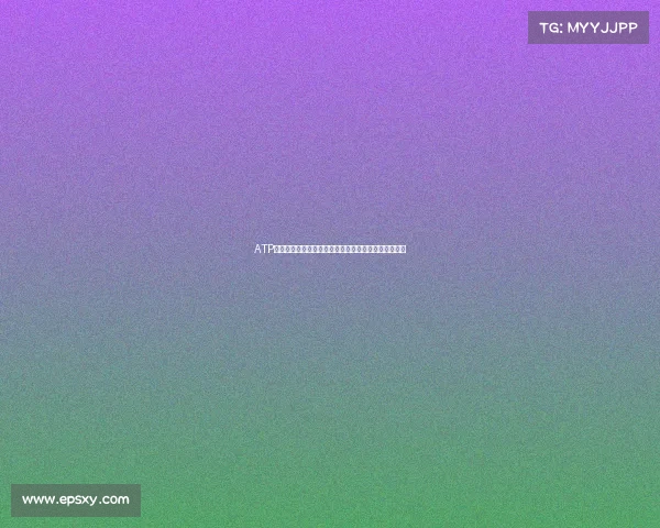 ATP网球赛事冠军奖金深度剖析高额回报激励选手拼搏之路