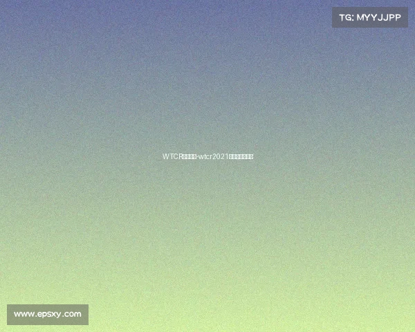 WTCR赛事规定-wtcr2021参赛车队有哪些